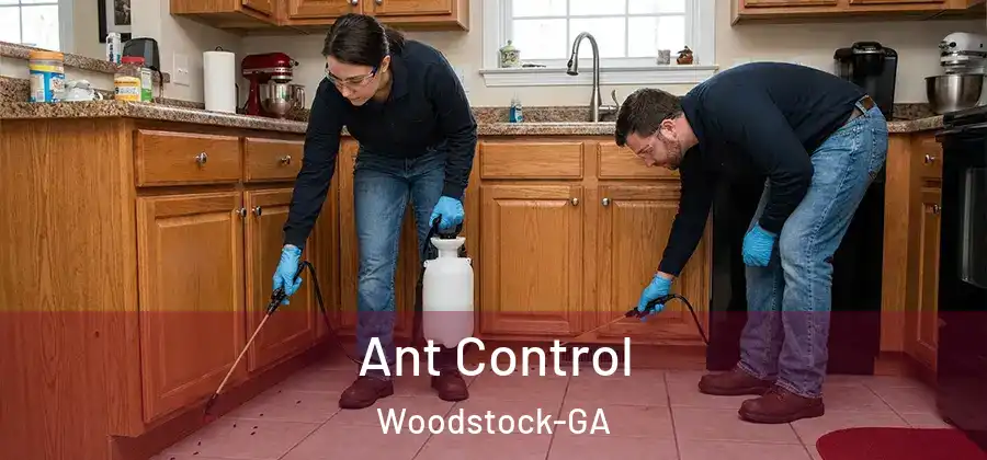 Ant Control Woodstock-GA
