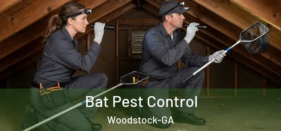 Bat Pest Control Woodstock-GA
