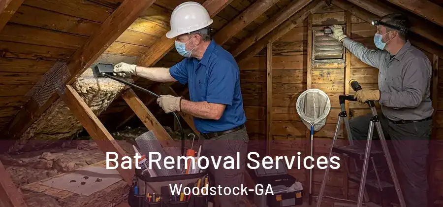 Bat Removal Services Woodstock-GA