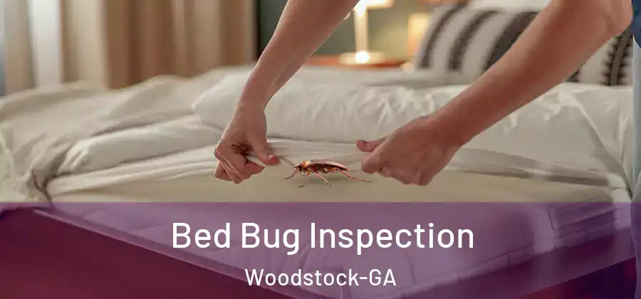 Bed Bug Inspection Woodstock-GA