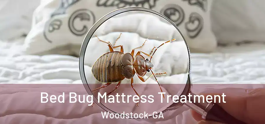  Bed Bug Mattress Treatment Woodstock-GA