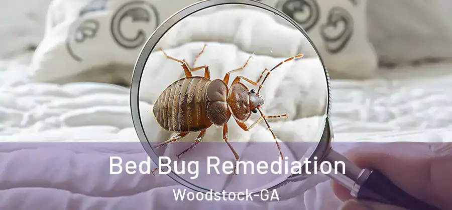Bed Bug Remediation Woodstock-GA