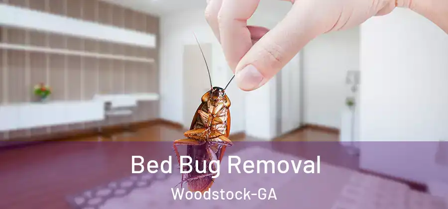 Bed Bug Removal Woodstock-GA