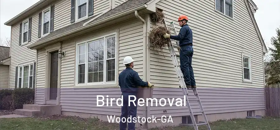 Bird Removal Woodstock-GA