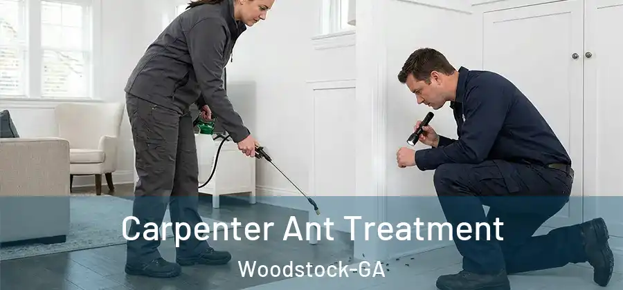 Carpenter Ant Treatment Woodstock-GA