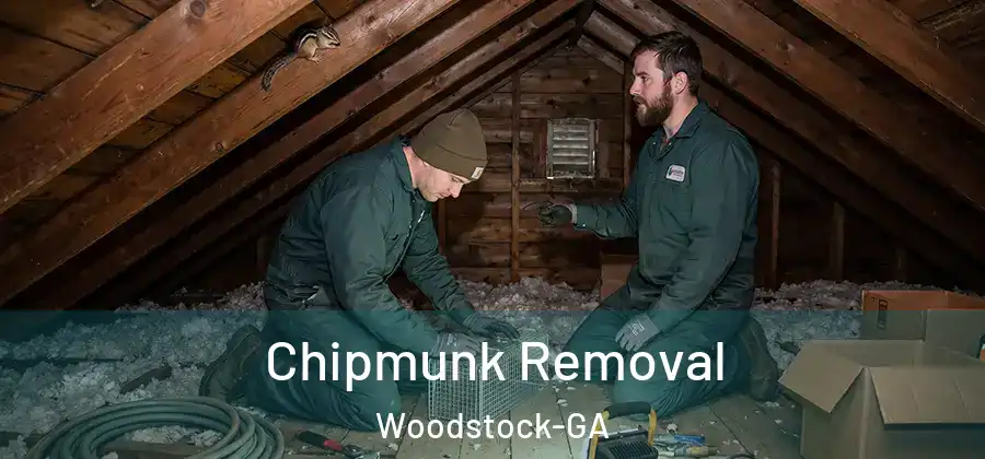 Chipmunk Removal Woodstock-GA