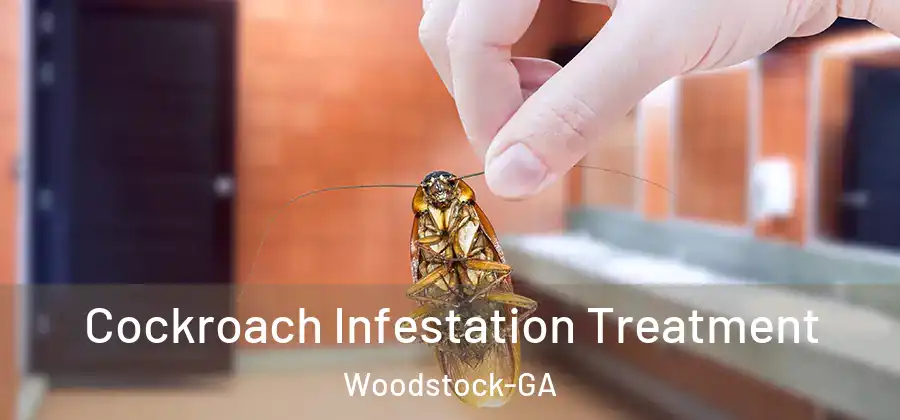 Cockroach Infestation Treatment Woodstock-GA