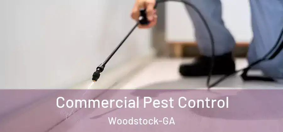 Commercial Pest Control Woodstock-GA