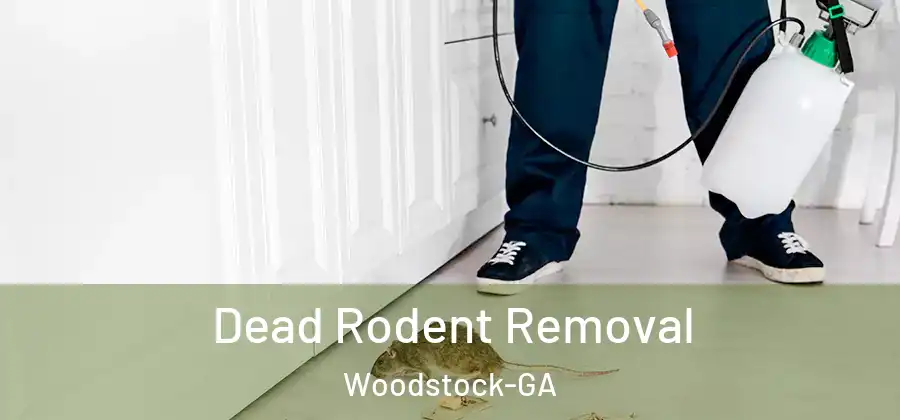 Dead Rodent Removal Woodstock-GA