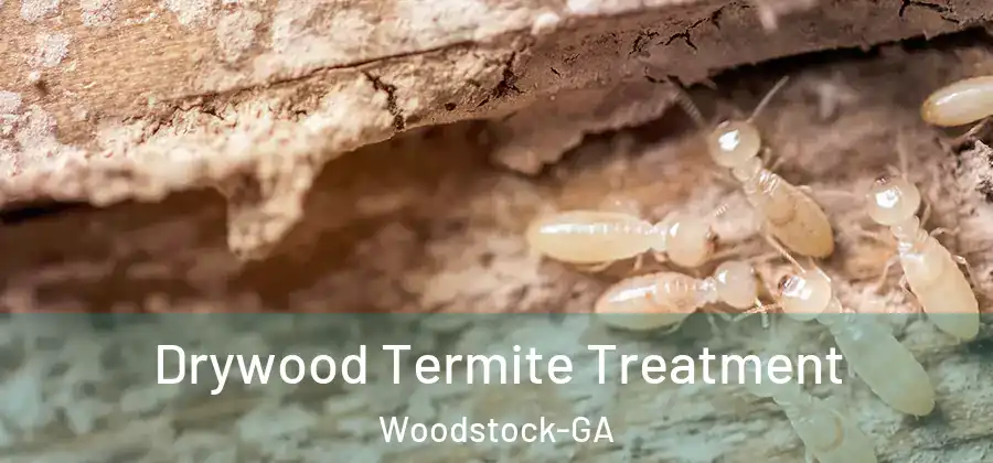 Drywood Termite Treatment Woodstock-GA
