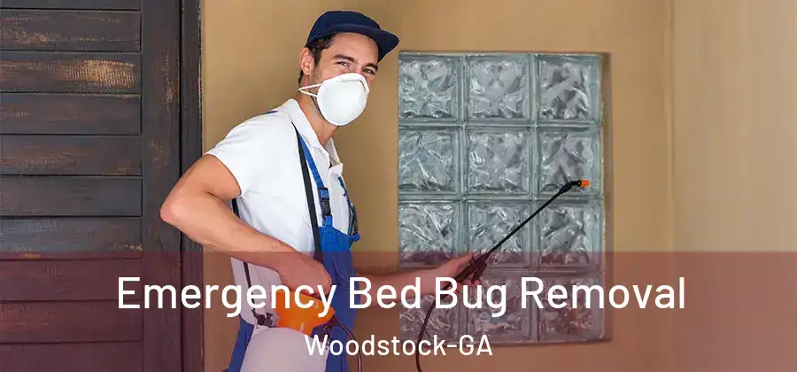 Emergency Bed Bug Removal Woodstock-GA