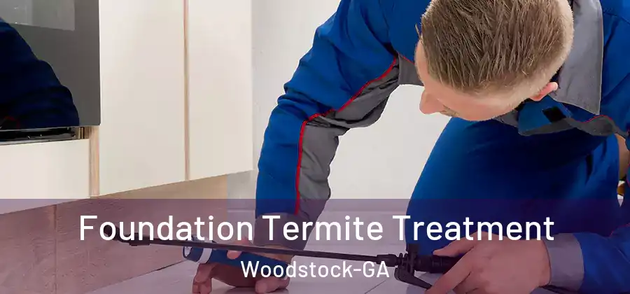  Foundation Termite Treatment Woodstock-GA