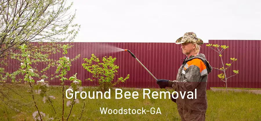  Ground Bee Removal Woodstock-GA