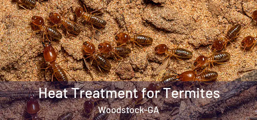Heat Treatment for Termites Woodstock-GA