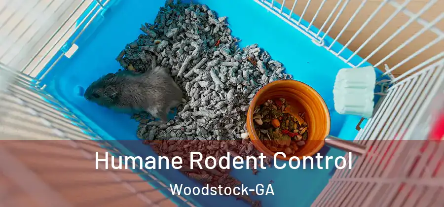 Humane Rodent Control Woodstock-GA