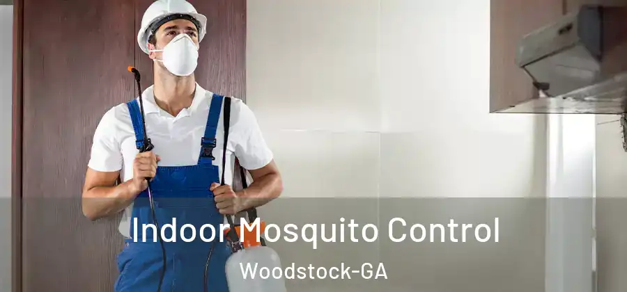Indoor Mosquito Control Woodstock-GA
