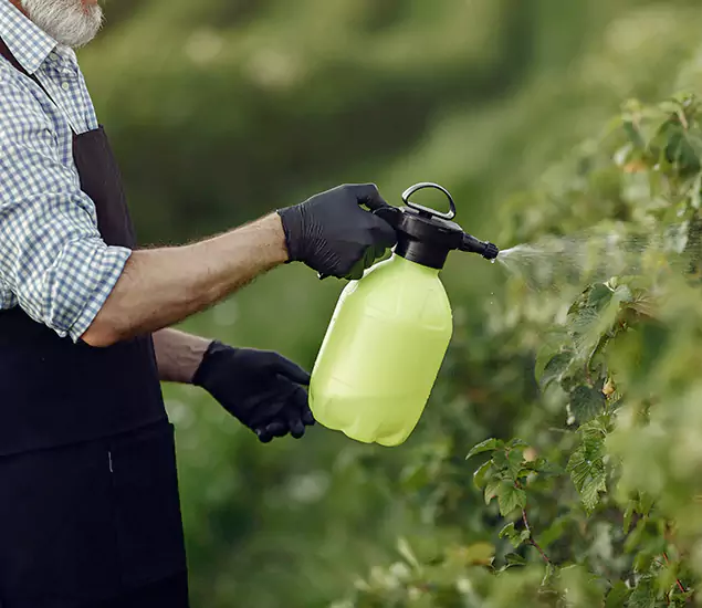 Your Proven Mosquito Treatment Company in Woodstock, GA