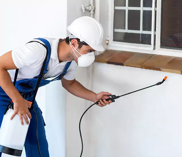 Your Professional Cockroach Exterminator in Woodstock, GA