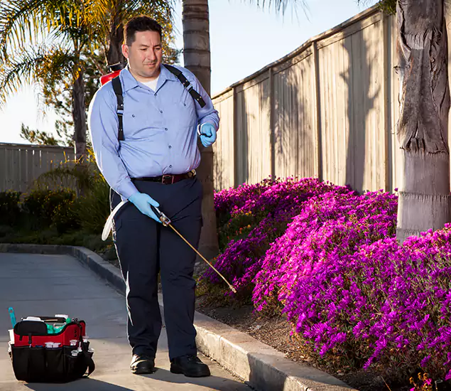 About Our Eco Safe Pest Control Experts in Woodstock, GA