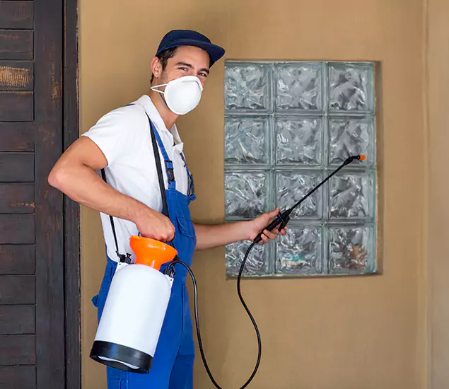 Your Reliable Pest Control in Woodstock, GA