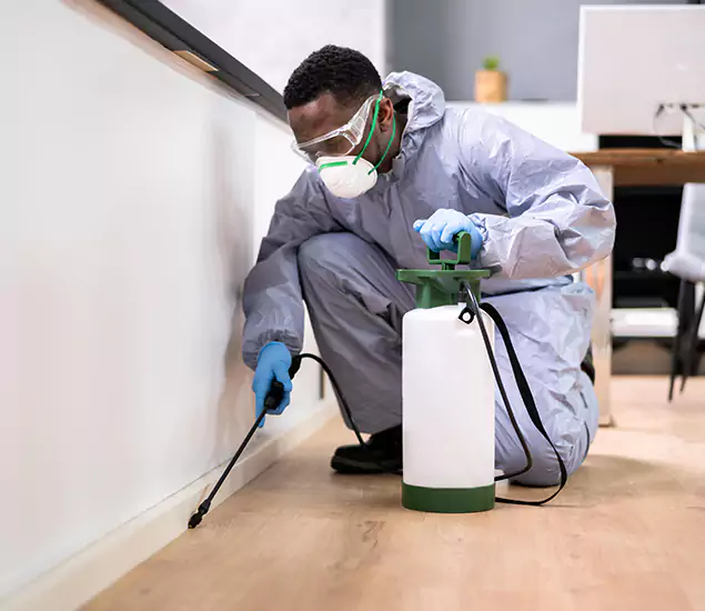 Leading Industrial Pest Control Experts Serving Woodstock, GA