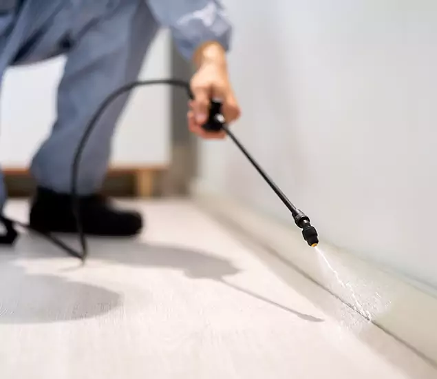 About Our Liquid Termite Treatment Experts in Woodstock, GA
