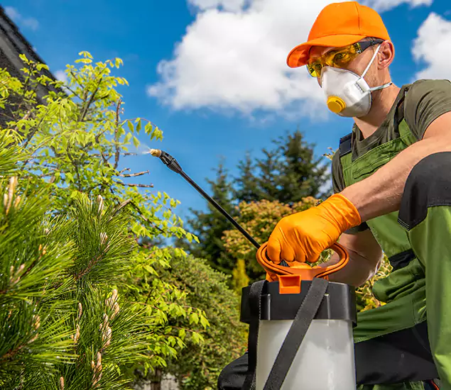 Your Best Bug Spray for Home Team in Woodstock, GA