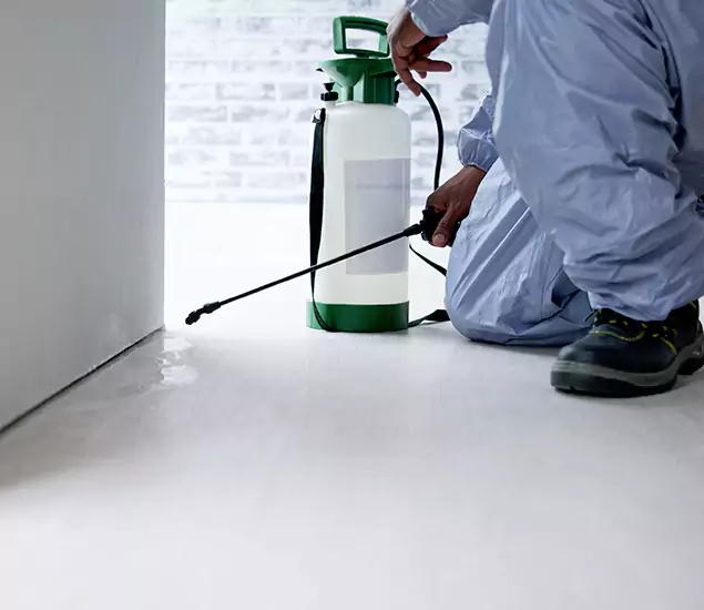 Affordable Pest Control Experts in Woodstock, GA