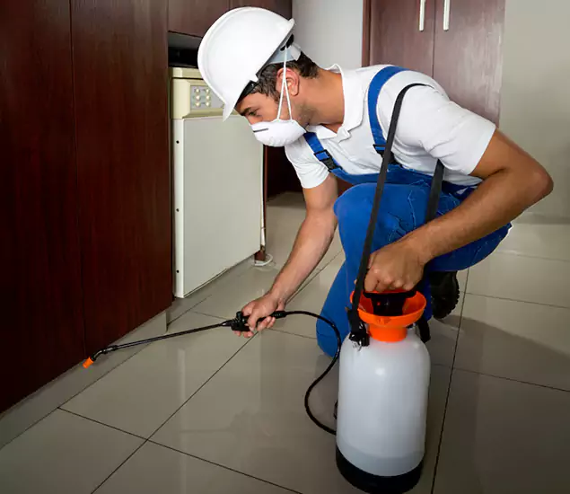Advanced Termite Pre Treatment Experts in Woodstock, GA