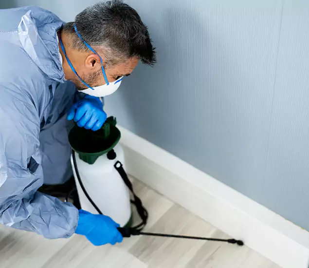 Reliable Termite Cost Experts in Woodstock, GA