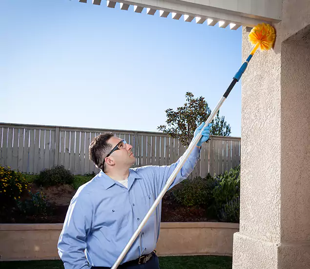 Your Trusted Wasp Removal Company in Woodstock, GA