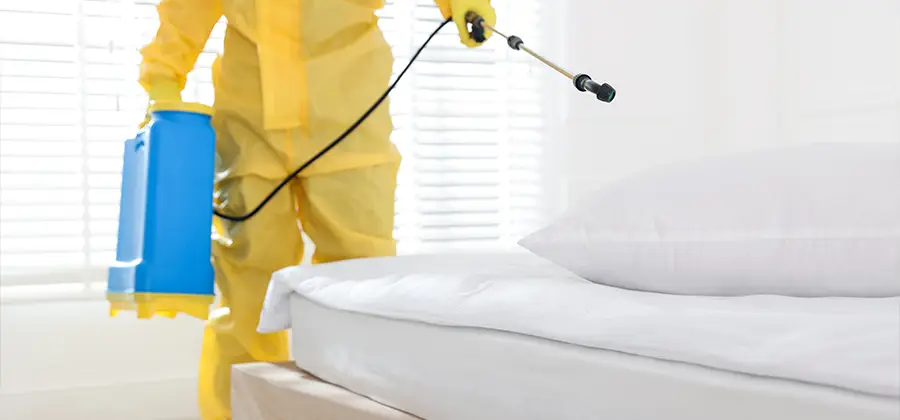 Targeted Chemical Application in Woodstock