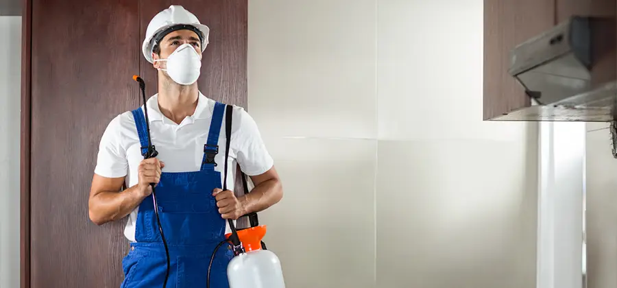 Per Room Bed Bug Cost in Woodstock