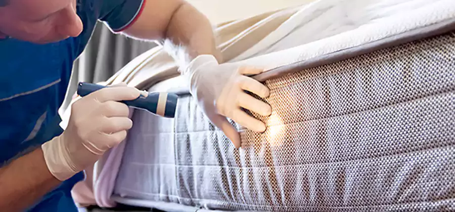 Residential Bed Bug Treatment Cost in Woodstock