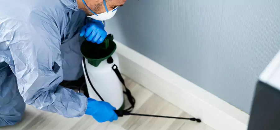 Fumigate Apartment Roaches in Woodstock