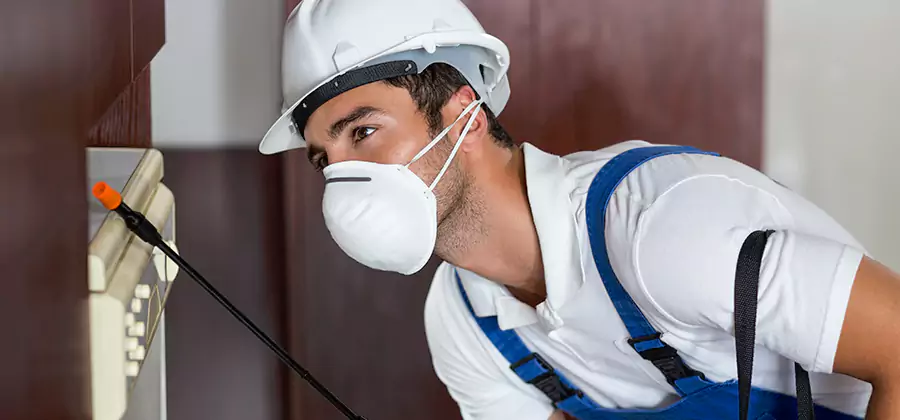 Injection Foam Treatment for Drywood Termites in Woodstock