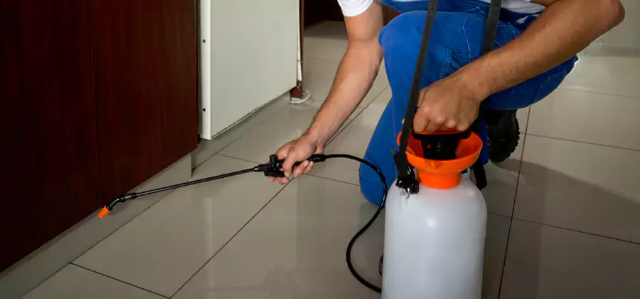 Indoor Mosquito Treatment in Woodstock