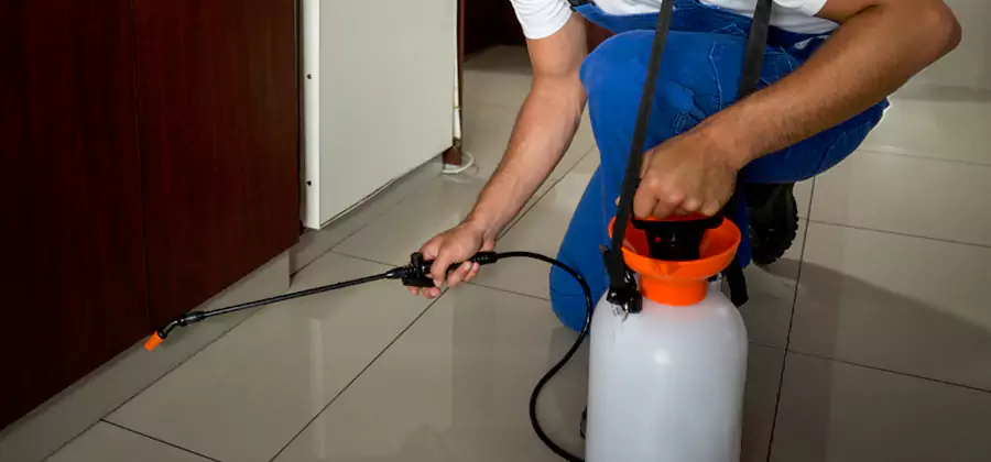 Indoor Insect Killer Solutions in Woodstock