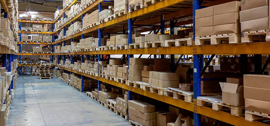 Warehouse Pest Control in Woodstock