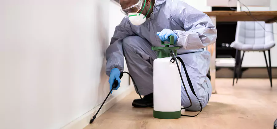 Long Lasting Mosquito Treatment in Woodstock