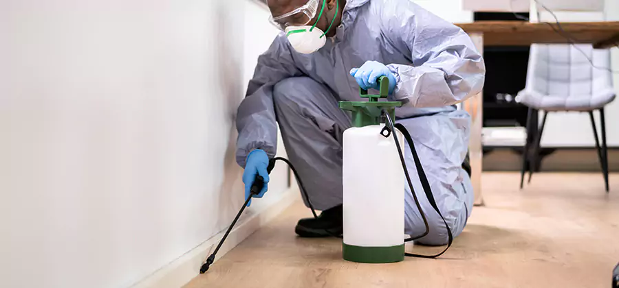No Tent Termite Extermination With Electric Tool in Woodstock