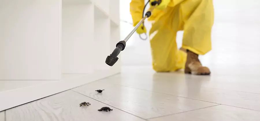 Roach and Bed Bug Exterminator in Woodstock