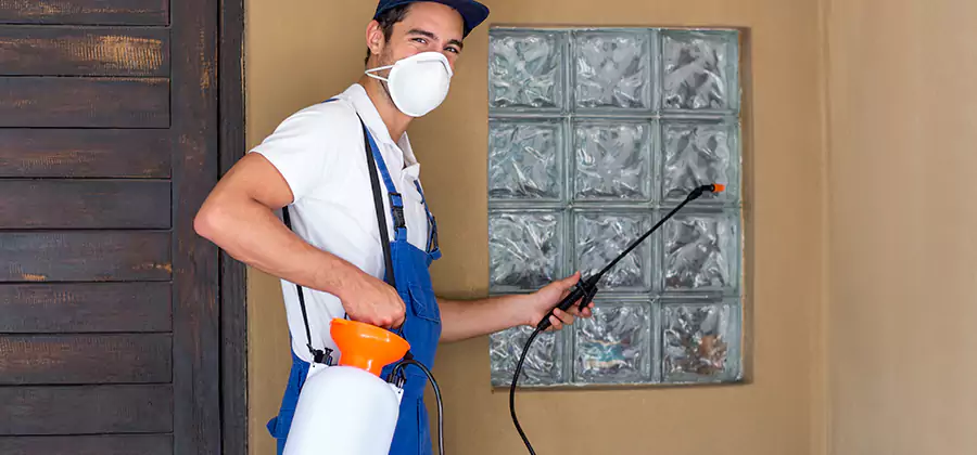 Pre-Construction Termite Treatment in Woodstock