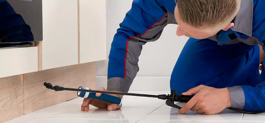Moisture Treatment For Termite Control Service in Woodstock
