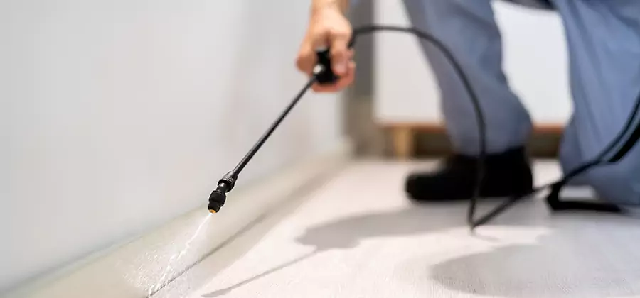 Direct Termite Injection Treatment in Woodstock