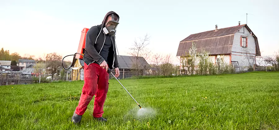 Flea and Tick Pest Control in Woodstock