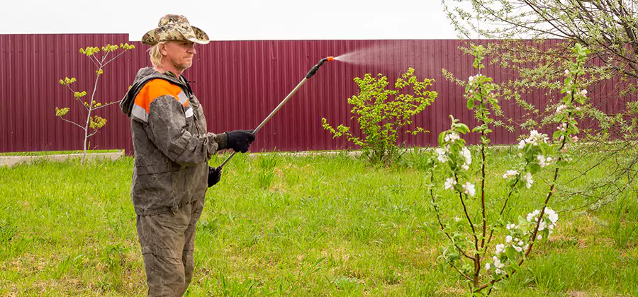 Flea and Tick Spray for Yard in Woodstock