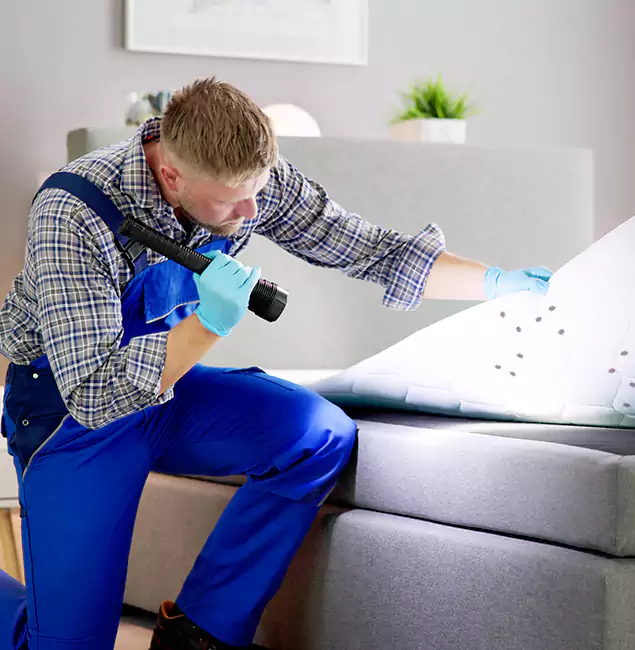 Why Choose Woodstock Pest Control Pro for Bed Bug Exterminator Cost in Woodstock, GA?