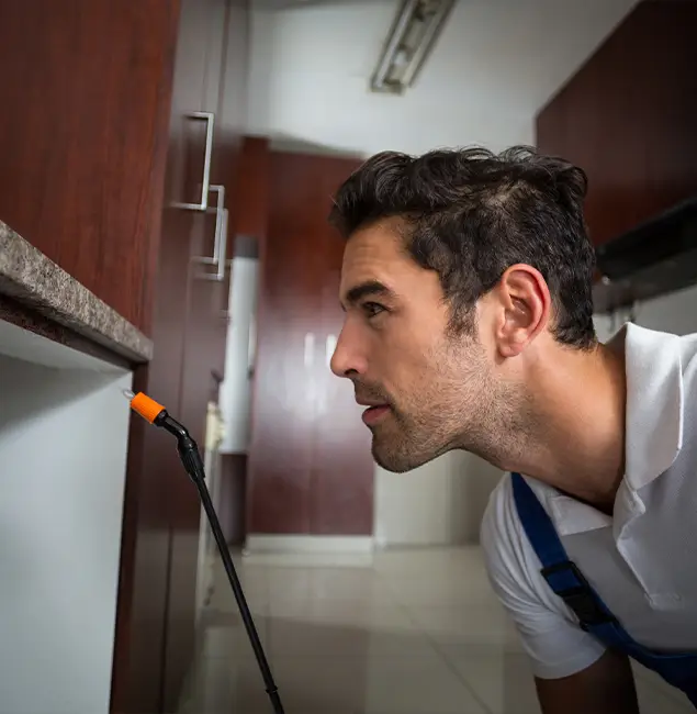 Why Choose Woodstock Pest Control Pro for Bed Bug Removal Cost in Woodstock, GA?