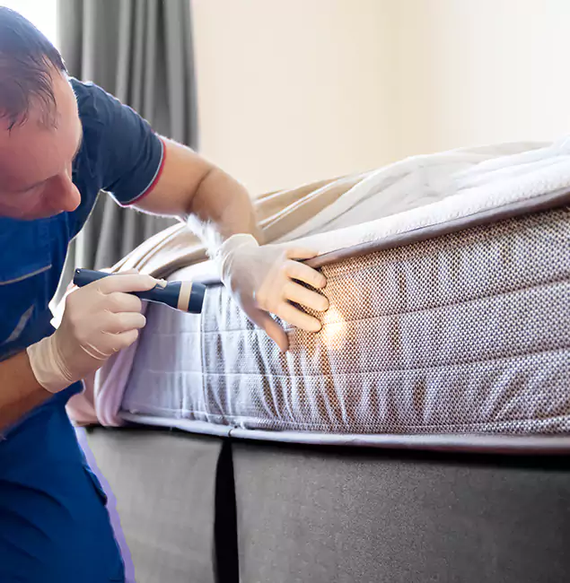 Why Choose Woodstock Pest Control Pro for Bed Bug Services in Woodstock, GA?